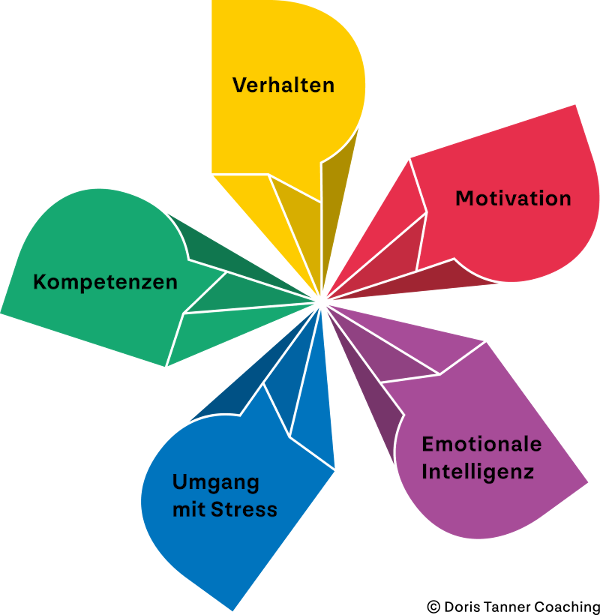 Module der Persönlichkeitsanalyse